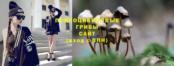 первитин Заводоуковск