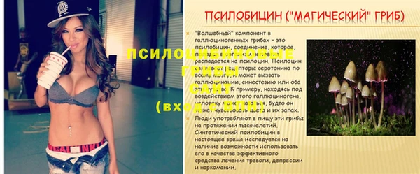 скорость Заволжье