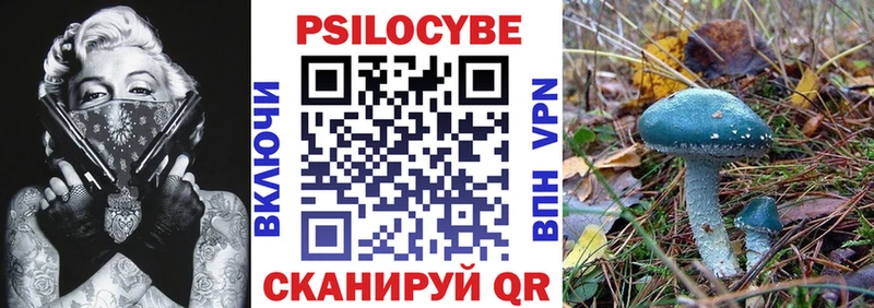 Псилоцибиновые грибы MAGIC MUSHROOMS  Купить  Иннополис 